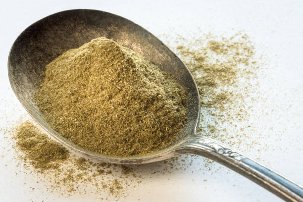 Common  Dhaniya Powder